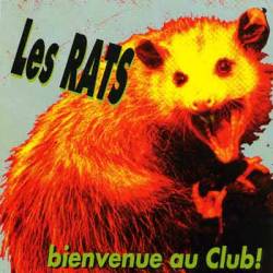 Les Rats : Bienvenue au Club !